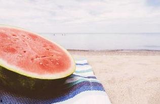 夏至群众吃瓜视频,全民共享瓜果盛宴