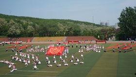 上海带你吃瓜视频,探秘魔都街头美食风情