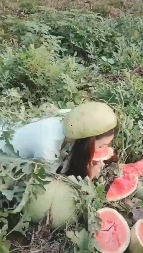 漂亮姐姐吃瓜的视频,跟随漂亮姐姐一起品尝娱乐圈新鲜“瓜果”