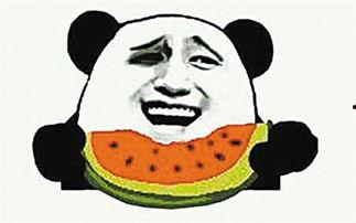 吃瓜群众的感人故事视频,吃瓜群众变身感人故事主角