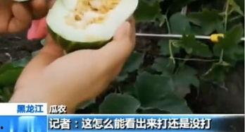 吃稀瓜真实图片搞笑视频,吃稀瓜搞笑视频，图解欢乐瞬间