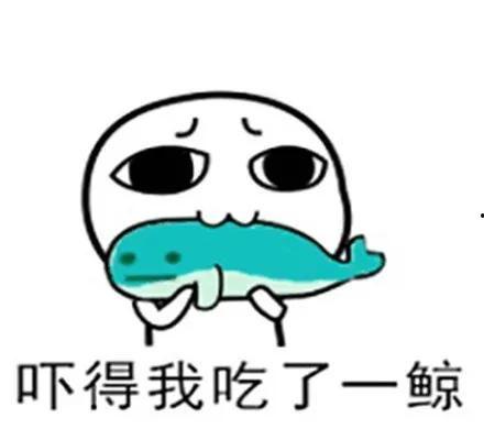 一口吃一个瓜的视频大全,一口吃瓜视频大全精彩回顾