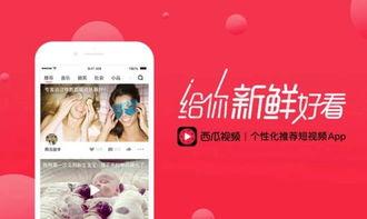 吃瓜最新qq视频正能量,QQ视频里的温馨瞬间