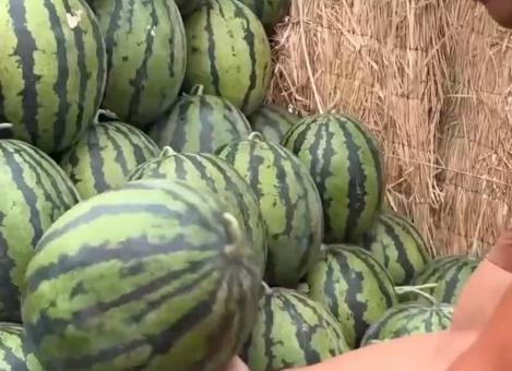 泡泡视频吃瓜区域,吃瓜区域热门事件大盘点