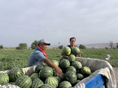 这几天的吃瓜视频,娱乐圈幕后真相大曝光