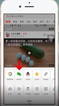 微信朋友怎么发吃瓜视频,轻松分享吃瓜视频，趣味互动新潮流