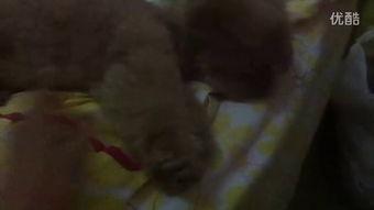 最好看的吃瓜姐姐视频,揭秘最好看视频幕后故事